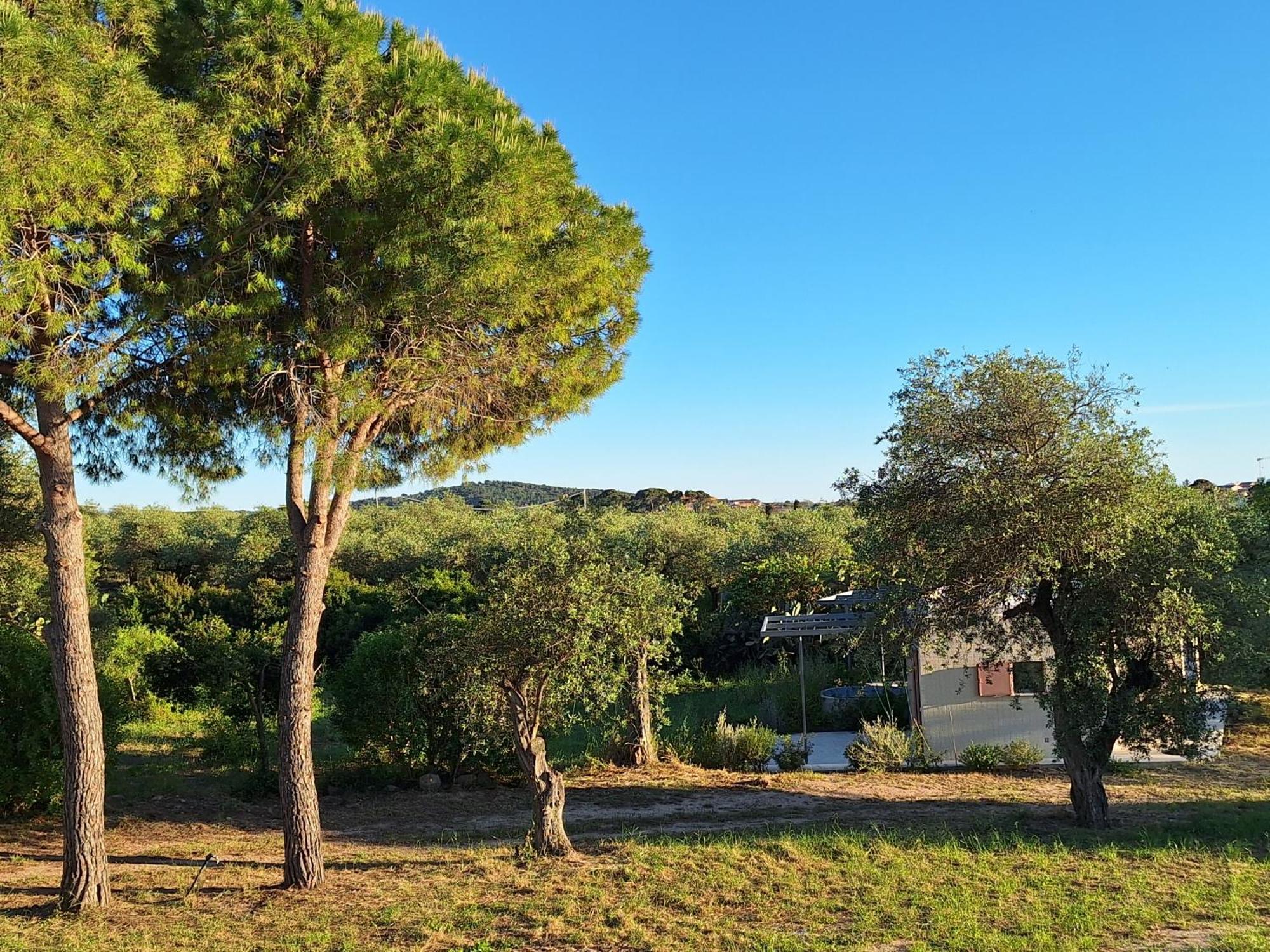 Bed & Breakfast Casale Valverde Alghero
